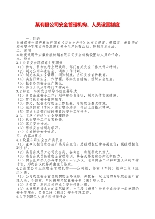 某有限公司安全管理机构、人员设置制度—