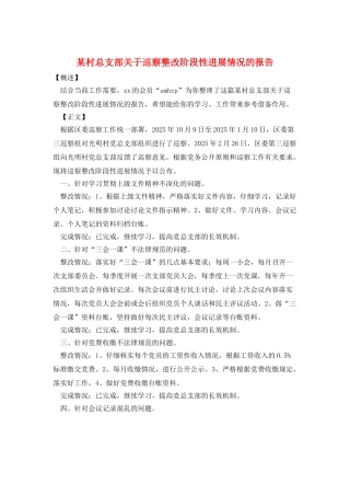 某村总支部关于巡察整改阶段性进展情况的报告