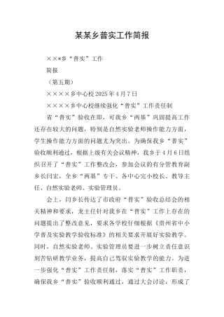 某某乡普实工作简报