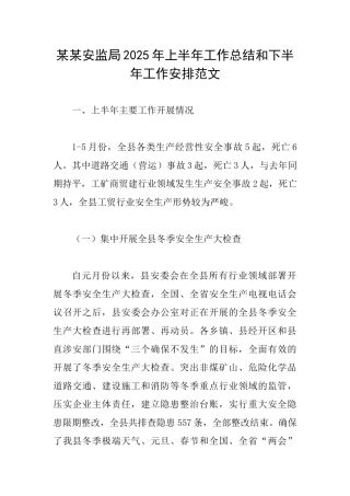 某某安监局2025年上半年工作总结和下半年工作安排范文