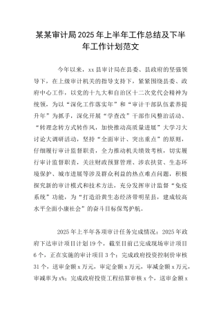某某审计局2025年上半年工作总结及下半年工作计划范文