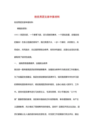 校优秀团支部申报材料
