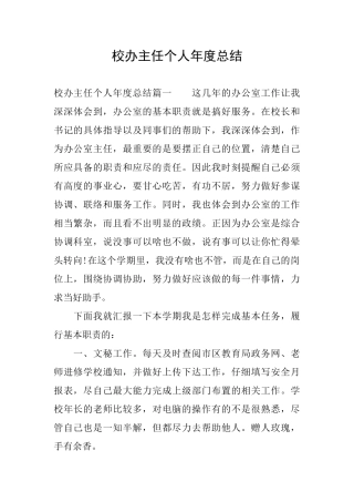 校办主任个人年度总结