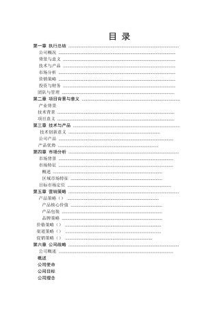 《创文智能玩具公司创意礼品项目》商业计划书