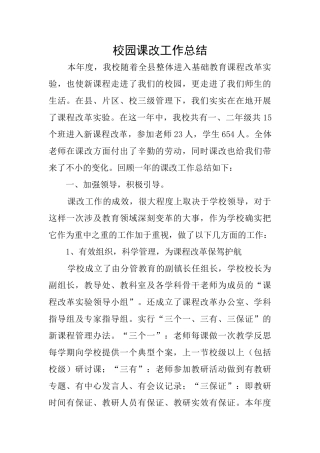 校园课改工作总结