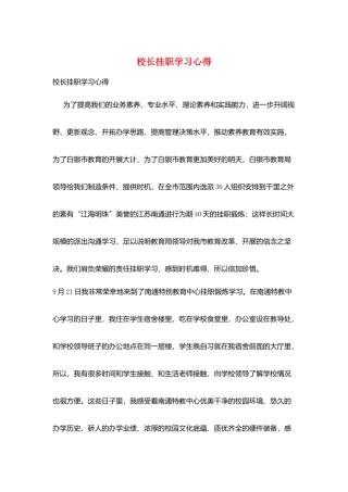 校长挂职学习心得