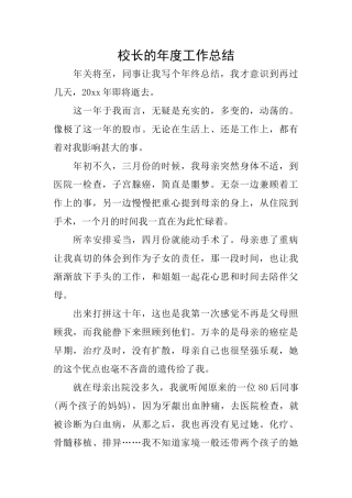 校长的年度工作总结