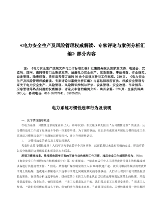 《电力安全生产及风险管理权威解读专家评论与案例分析汇编》