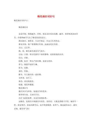 梅花魂好词好句