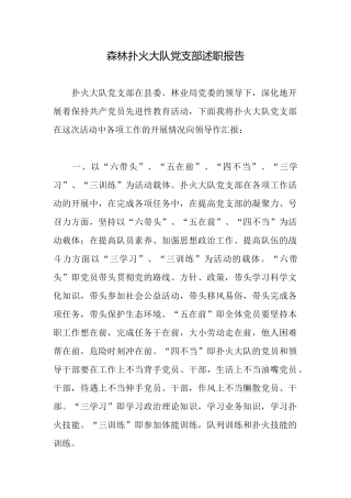 森林扑火大队党支部述职报告