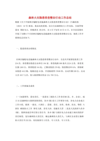 森林火灾隐患排查整治行动工作总结