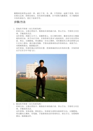 橄榄球是球类运动的一种