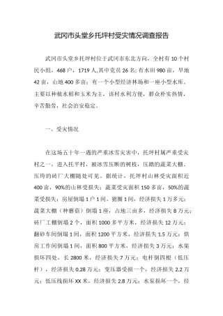 武冈市头堂乡托坪村受灾情况调查报告