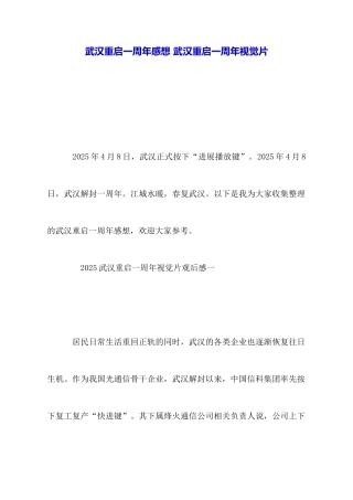 武汉重启一周年感想武汉重启一周年视觉片