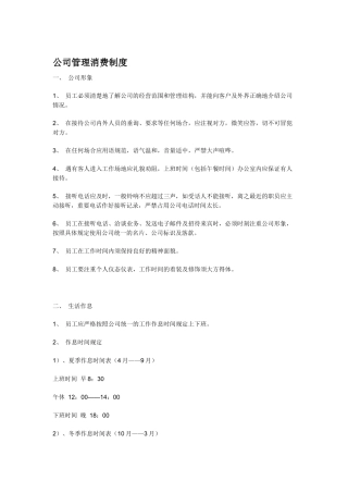 《公司消费制度》