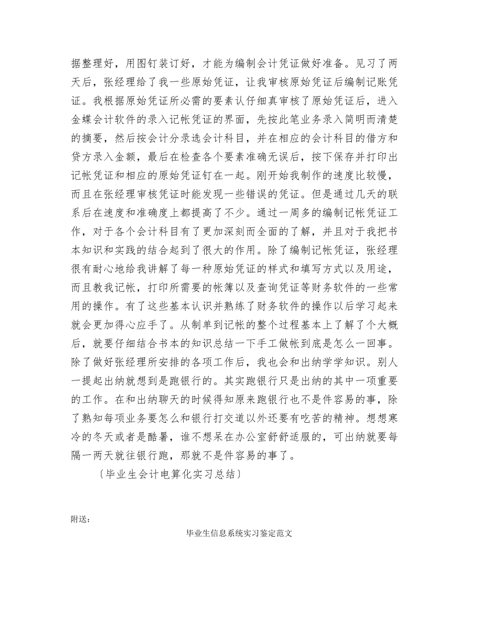 毕业生会计电算化实习总结_第2页