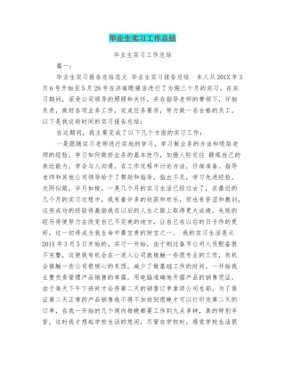 毕业生实习工作总结