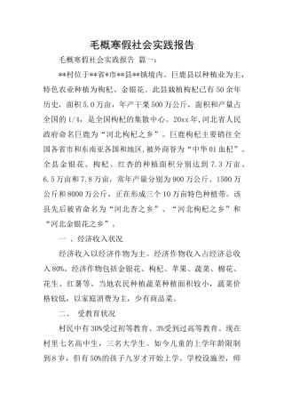 毛概寒假社会实践报告