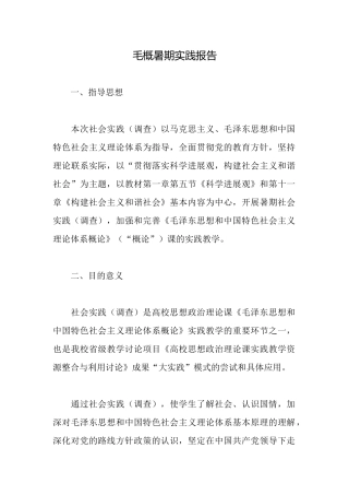 毛概暑期实践报告