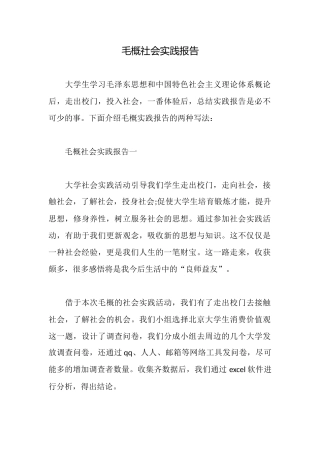 毛概社会实践报告