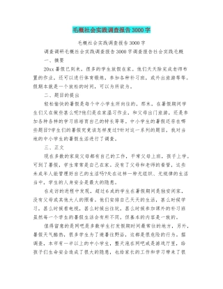 毛概社会实践调查报告3000字