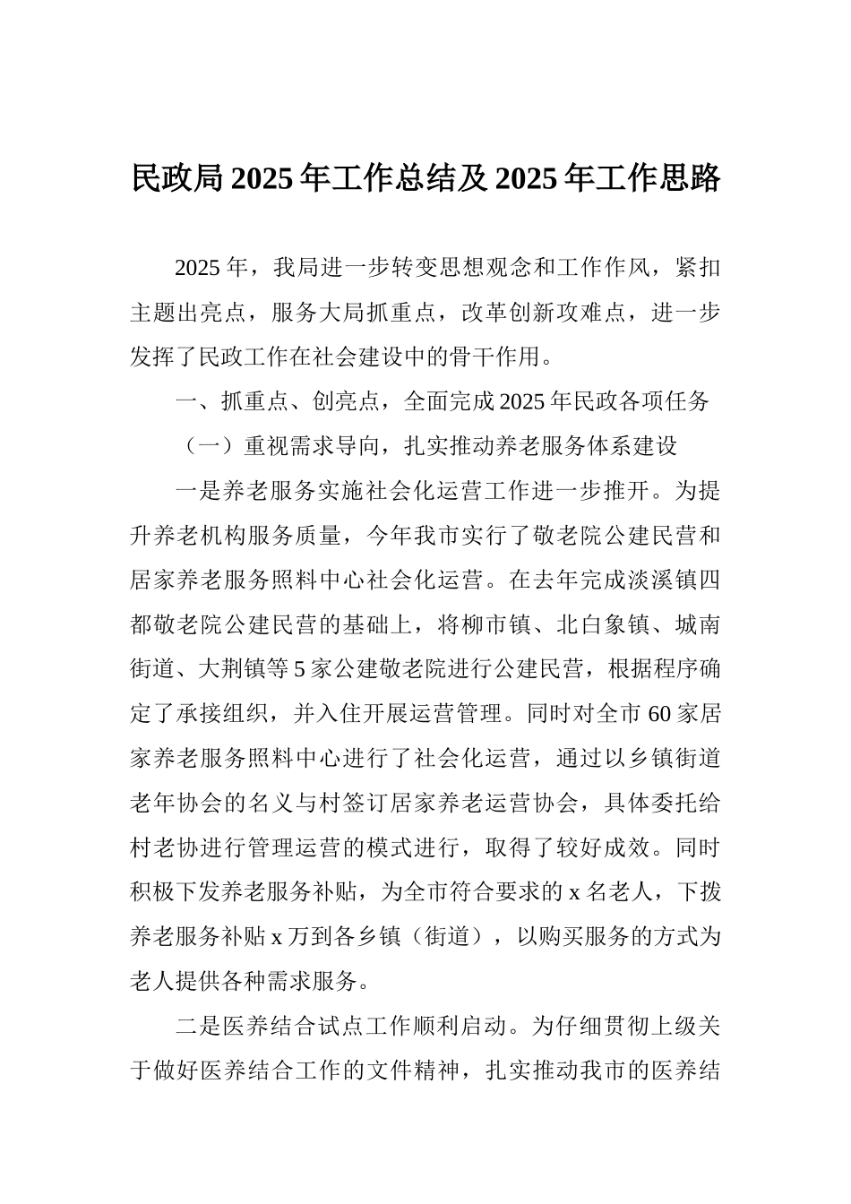 民政局2025年工作总结及2025年工作思路_第1页