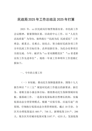 民政局2025年工作总结及2025年打算