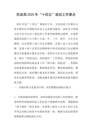 民政局2025年十四五规划工作要点