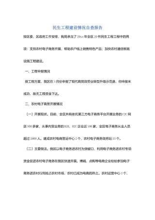 民生工程建设情况自查报告