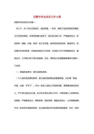 民警年终总结范文件3篇
