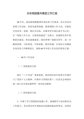 水农局团委共青团工作汇报