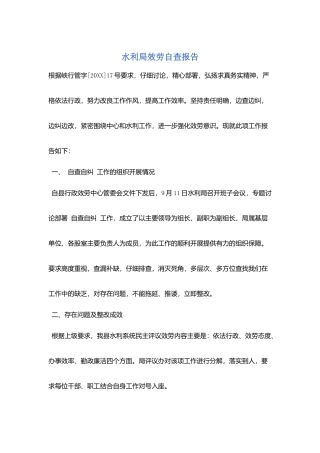 水利局服务自查报告