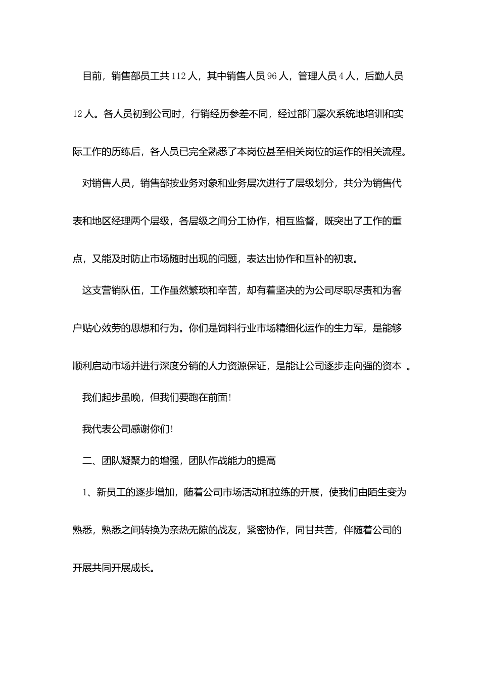 汽车销售经理年底总结_第3页