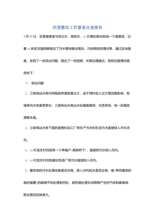 河道整治工作督查自查报告