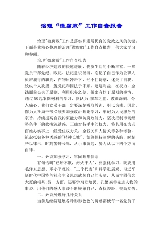 治理“微腐败”工作自查报告
