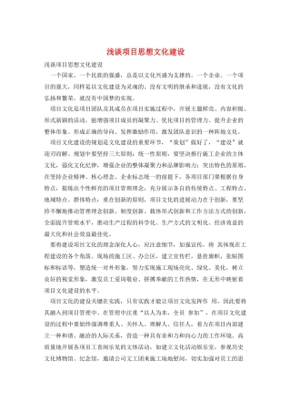 浅谈项目思想文化建设