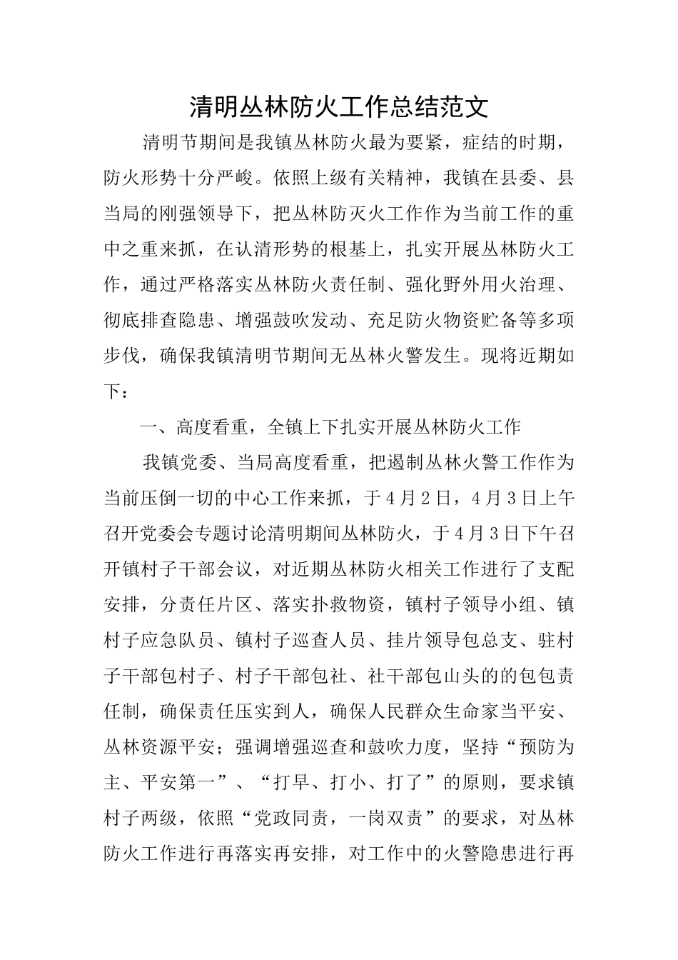 清明丛林防火工作总结范文_第1页