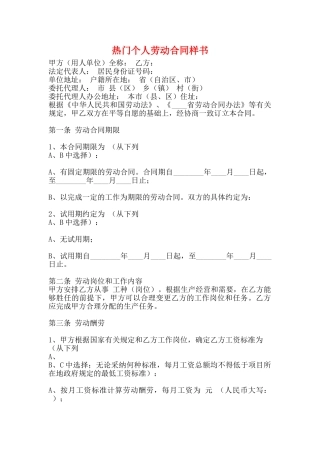 热门个人劳动合同样书