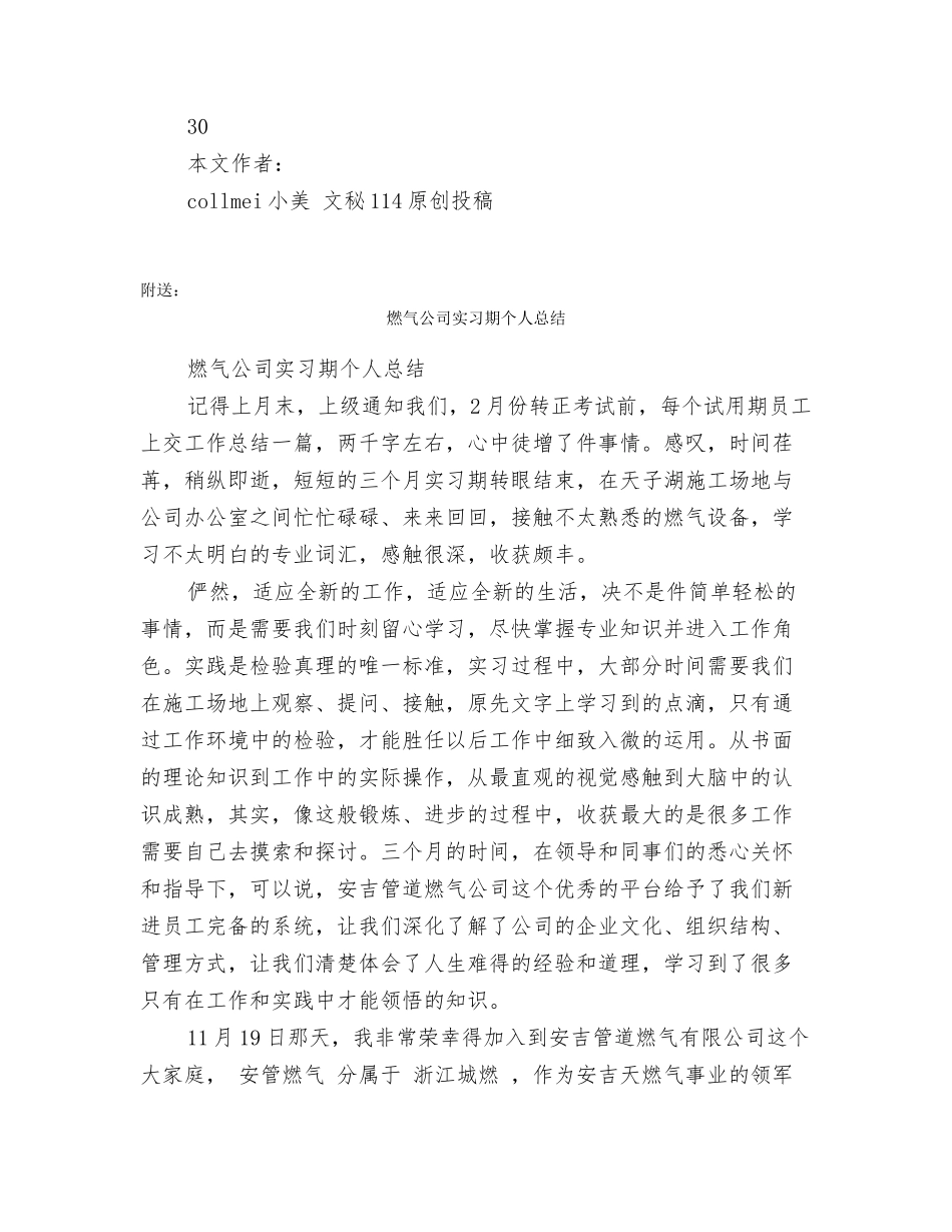 燃气公司个人工作小结_第2页