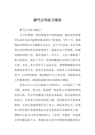 燃气公司实习报告