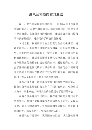燃气公司顶岗实习总结
