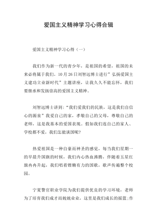 爱国主义精神学习心得合辑