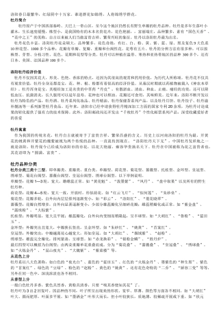 牡丹花介绍及品种特点