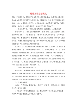 特检工作总结范文