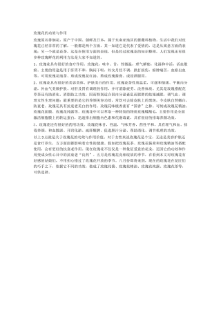 玫瑰花的功效与作用