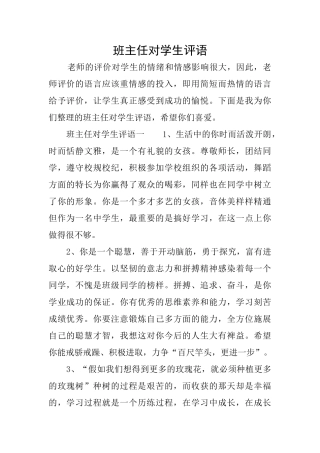 班主任对学生评语