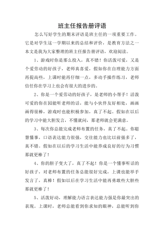 班主任报告册评语