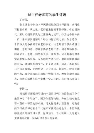 班主任教师写的学生评语