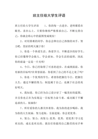 班主任给大学生评语