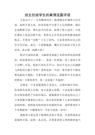 班主任给学生的真情流露评语